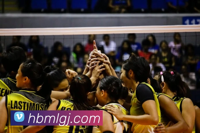 米兰在线体育官网平台生态图