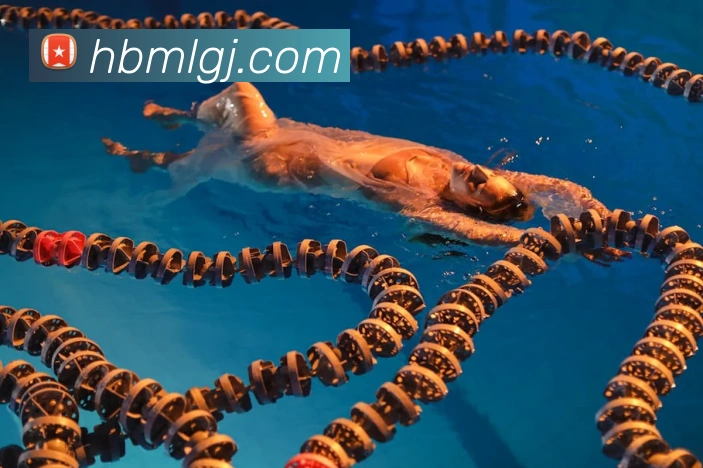 米兰在线体育官网APP 封面图